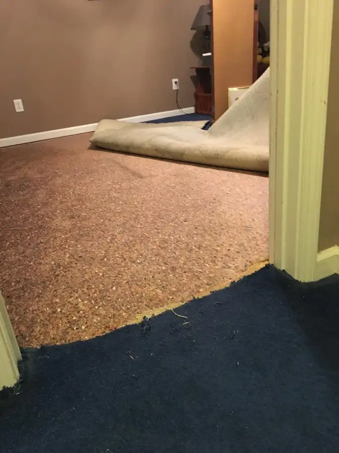 Carpet pad removal revealing water damage during Drying & Dehumidification in Minneapolis